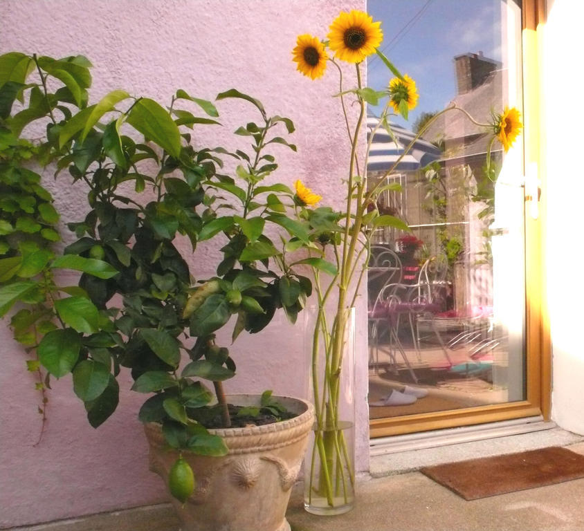 Villa Mons Ποντορσόν Εξωτερικό φωτογραφία